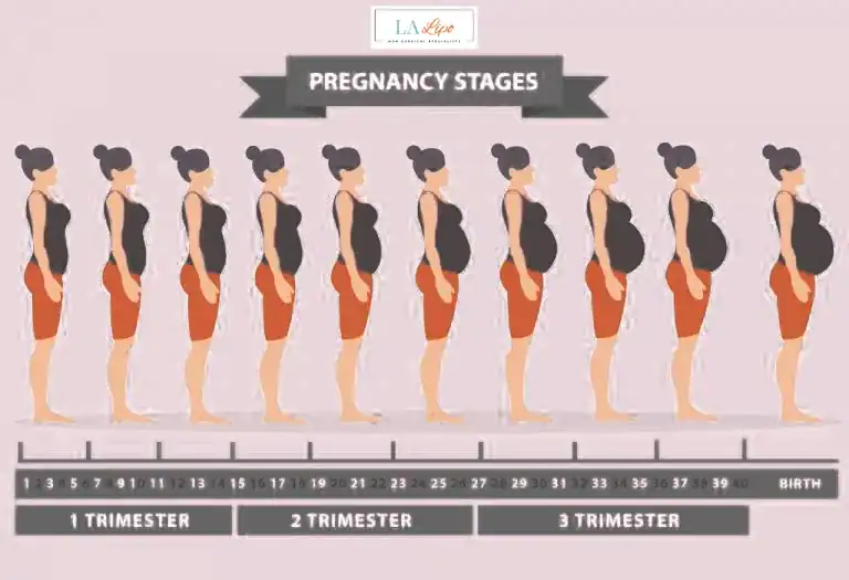 First Trimester (Weeks 1–12): Early Changes You Might Not Notice Tamworth